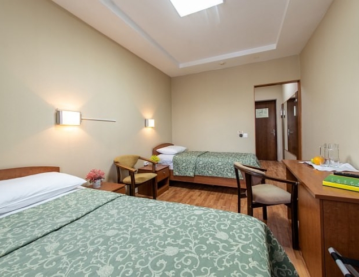 Стандартный 2-местный в Главном корпусе - Санаторий «Электра»