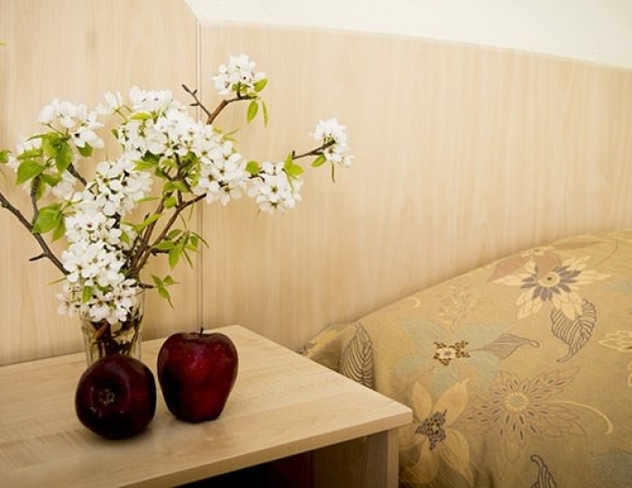 Стандарт 3-местный в коттедже - Санаторий «Электра»